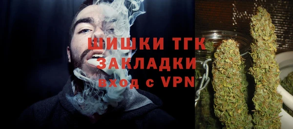 тгк Аркадак