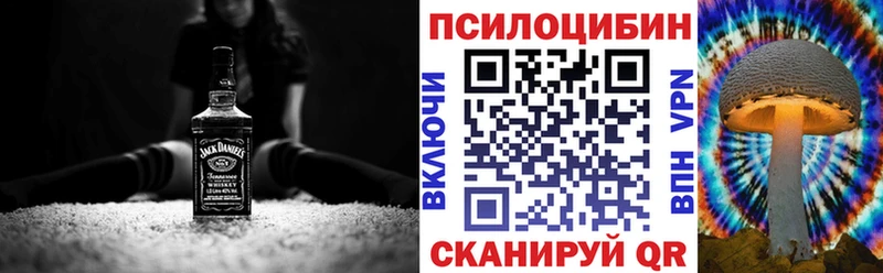 Галлюциногенные грибы Psilocybine cubensis  где продают   Зима 